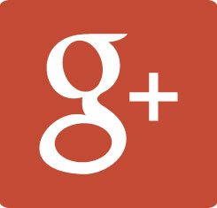 Springbok on Google Plus